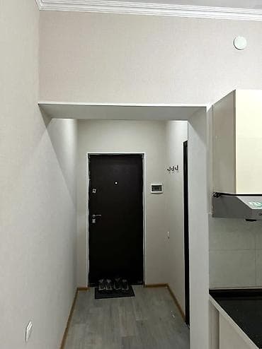 1 комната, 24 м², Индивидуалка, Дизайнерский ремонт at lalafo.kg — 5 1 комната, 24 м², Индивидуалка, Дизайнерский ремонт — 5