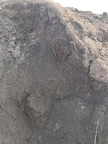 Плодородный грунт (чернозём) в мешках кара торурак алмалуу - at lalafo.kg Плодородный грунт (чернозём) в мешках кара торурак алмалуу -