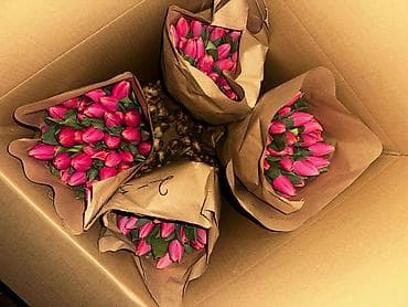 Бонбоньерки: В наличии Тюльпаны🌷💐 имеются в ярких и разных цветах . также есть at lalafo.kg — 4 Бонбоньерки: В наличии Тюльпаны🌷💐 имеются в ярких и разных цветах . также есть — 4