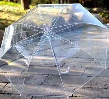 Зонт, Зонт-трость, Полуавтоматический, Новый, Унисекс at lalafo.kg Зонт, Зонт-трость, Полуавтоматический, Новый, Унисекс