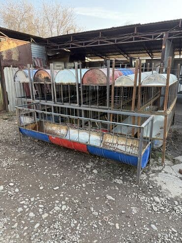 С бочки 2.6метр 5500 С листа 0.55см 3метр 5500 2.5метр 5000 2метр 4200 at lalafo.kg С бочки 2.6метр 5500 С листа 0.55см 3метр 5500 2.5метр 5000 2метр 4200