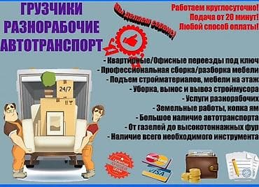 Водолазкалар: Жүк ташуучу. 6 жылдан ашык тажрыйба lalafo.kg да — 1 Водолазкалар: Жүк ташуучу. 6 жылдан ашык тажрыйба — 1