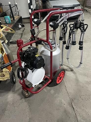 Срочно продаю доильный аппарат at lalafo.kg Срочно продаю доильный аппарат