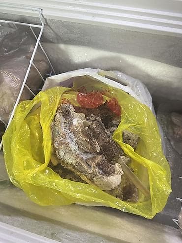 Кости, Самовывоз at lalafo.kg Кости, Самовывоз