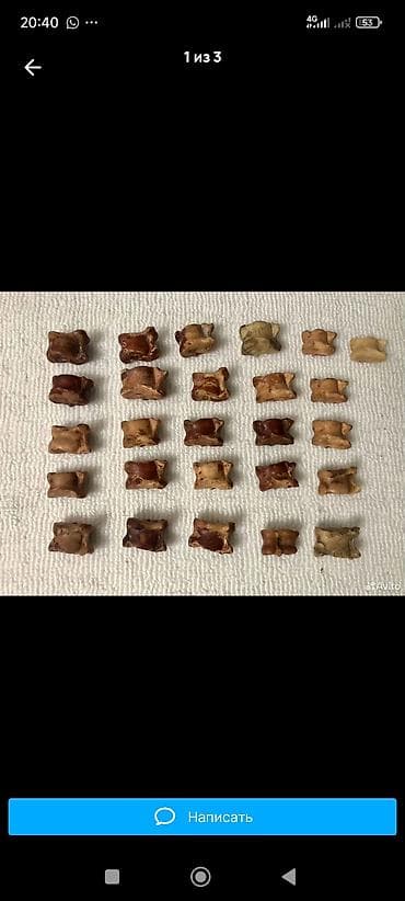 Чон чон койдун чукосун сатып алам Сака кылганы кимде болсо чалгыла at lalafo.kg Чон чон койдун чукосун сатып алам Сака кылганы кимде болсо чалгыла