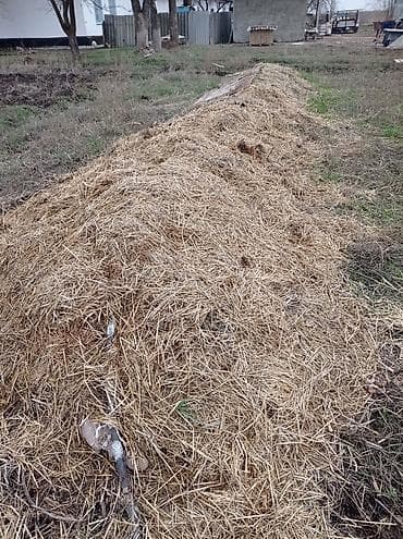 БиоГумус, СоолЖаны менен Сатылат.Срочно Арзан. - Натуральная at lalafo.kg БиоГумус, СоолЖаны менен Сатылат.Срочно Арзан. - Натуральная