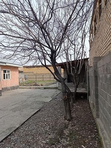 Жер үй сатылат 6 сотых, 5 комната ремонту орточо, суу,газ, отопления at lalafo.kg — 6 Жер үй сатылат 6 сотых, 5 комната ремонту орточо, суу,газ, отопления — 6