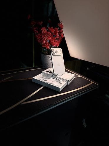 IPhone 17 Pro, Колдонулган, 256 ГБ, Ак, 100 % lalafo.kg да IPhone 17 Pro, Колдонулган, 256 ГБ, Ак, 100 %