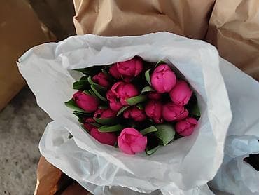 Бонбоньерки: Тюльпаны в крафтовой упаковке — срезанные бутоны на крепких стеблях at lalafo.kg — 7 Бонбоньерки: Тюльпаны в крафтовой упаковке — срезанные бутоны на крепких стеблях — 7