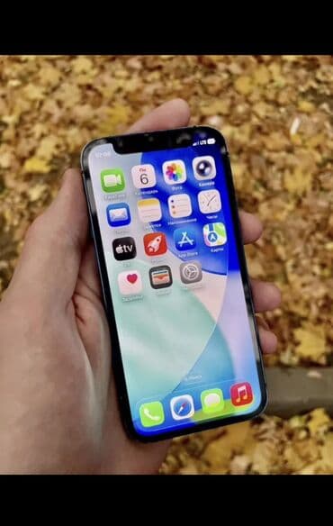 IPhone 12 mini, Б/у, 128 ГБ, Blue Titanium, 72 % at lalafo.kg IPhone 12 mini, Б/у, 128 ГБ, Blue Titanium, 72 %