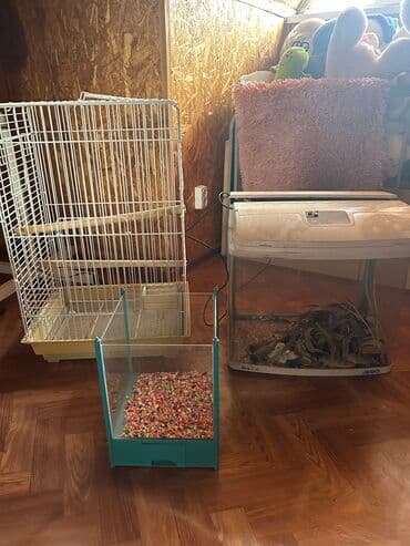 Аквариум at lalafo.kg Аквариум