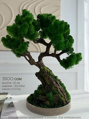 Цены от 2500 сом( указаны на фото) В наличии и на заказ (3-7 дней) Все at lalafo.kg Цены от 2500 сом( указаны на фото) В наличии и на заказ (3-7 дней) Все