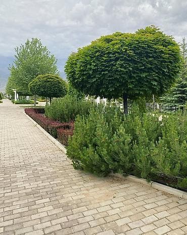 Коттедж, КАРВЕН ЦО Карвен 4 сезона, Чон-Сары-Ой, Детская площадка, Парковка, стоянка, Охраняемая территория at lalafo.kg Коттедж, КАРВЕН ЦО Карвен 4 сезона, Чон-Сары-Ой, Детская площадка, Парковка, стоянка, Охраняемая территория