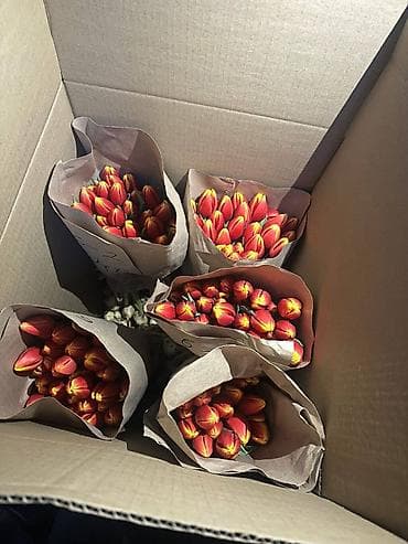 Бонбоньерки: В наличии Тюльпаны🌷💐 имеются в ярких и разных цветах . также есть at lalafo.kg — 3 Бонбоньерки: В наличии Тюльпаны🌷💐 имеются в ярких и разных цветах . также есть — 3