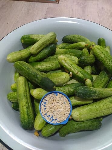 Семена овощей: Огурцы, Самовывоз at lalafo.kg Семена овощей: Огурцы, Самовывоз