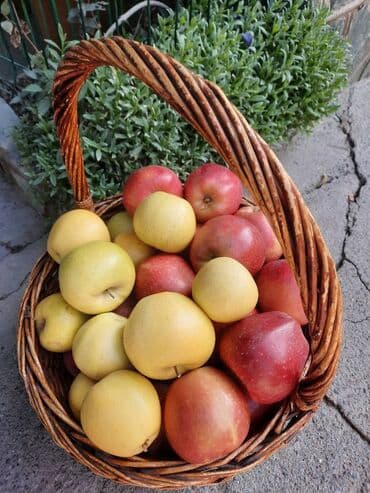 Яблоки Превосходное at lalafo.kg Яблоки Превосходное