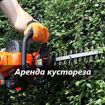 КУСТОРЕЗ АРЕНДА аренда кустореза кусторез в аренду прокат кустореза at lalafo.kg КУСТОРЕЗ АРЕНДА аренда кустореза кусторез в аренду прокат кустореза