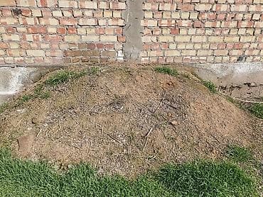 Удобрение Самовывоз at lalafo.kg Удобрение Самовывоз