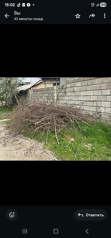 Дрова at lalafo.kg Дрова