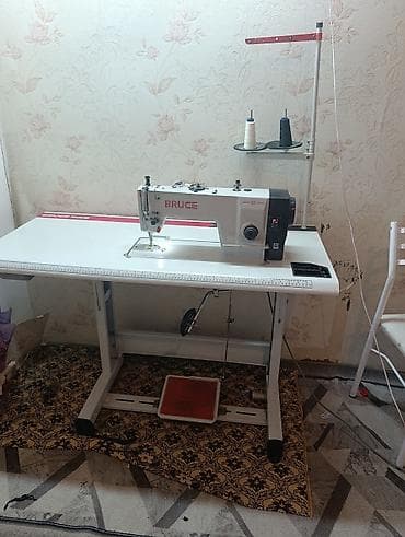 Bruce, В наличии at lalafo.kg Bruce, В наличии