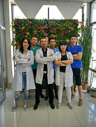 Массаж курстары | Классика, Дабалоочу Сертификат берилет lalafo.kg да — 5 Массаж курстары | Классика, Дабалоочу Сертификат берилет — 5