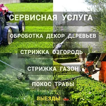 Аймактарды жыйнап тазалоо, Уборка двора и сада, Газон чабуу, Бак-дарактарга кам көрүү