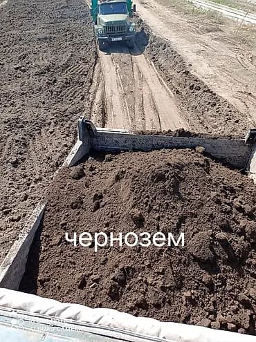 Топурак, Зил