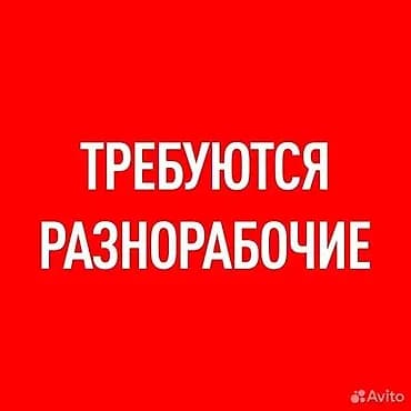 Талап кылынат Ширетүүчү, Төлөм: Күнүмдүк, 3-5 жылдык тажрыйба